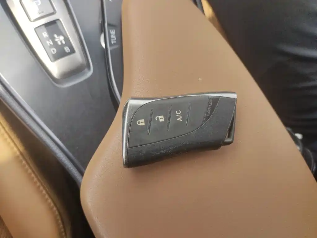 Lexus UX Electric 2021 2020 300e Pure Yue Edition