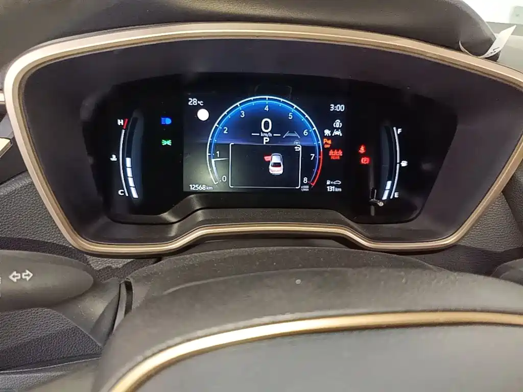 TOYOTA ASIAN LION