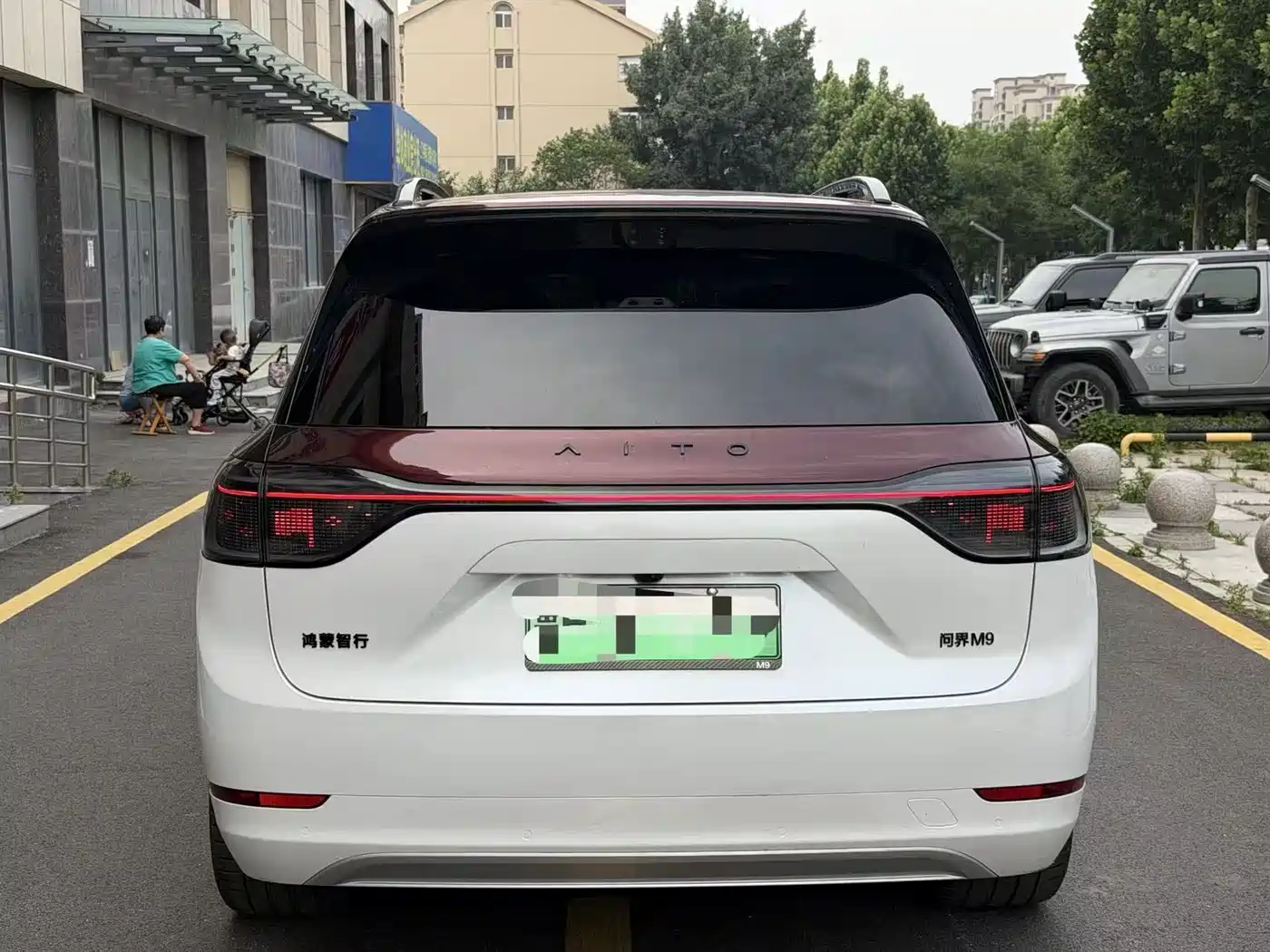 AITO Wenjie AITO M9 2025 Extended Range Max 52kWh 6-Seater фото 5