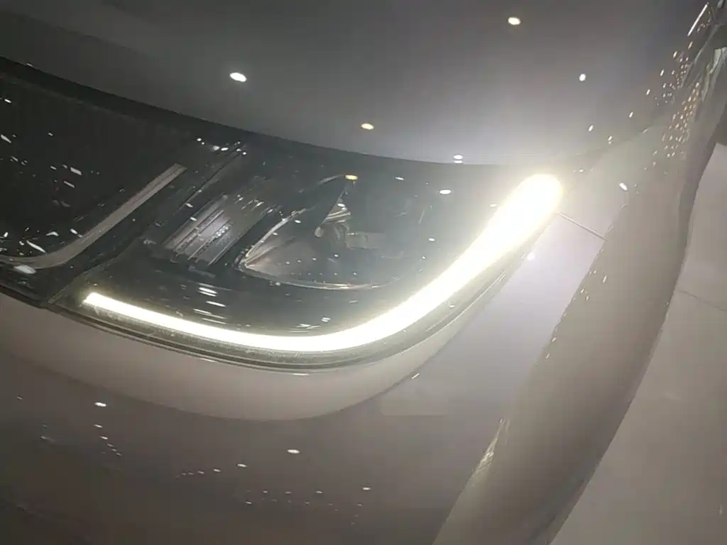 BYD Dolphin 2021 401km Knight Edition фото 24