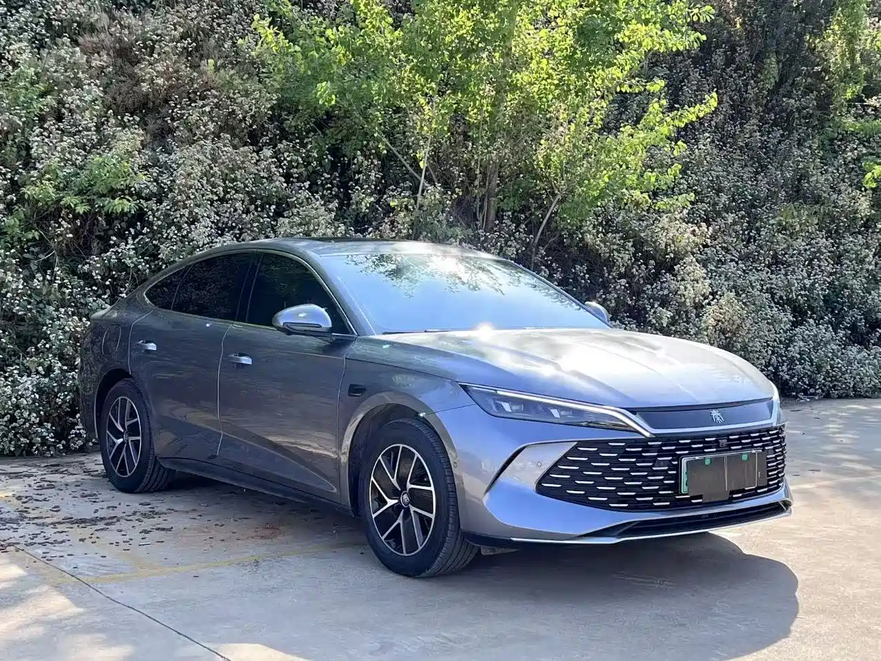 BYD Qin L 2025 DM-i Smart Drive Edition 120KM Surpassing
