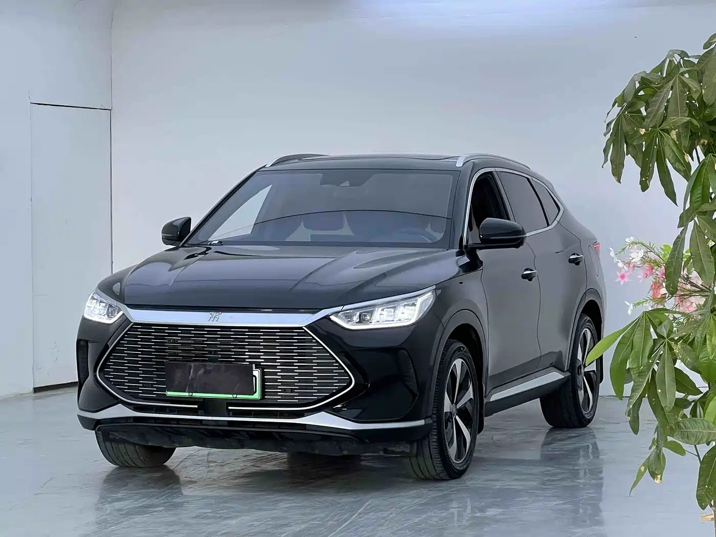 BYD Song PLUS PHEV 2021 DM-i 110KM Flagship PLUS