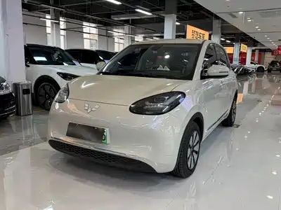 Wuling Bingo