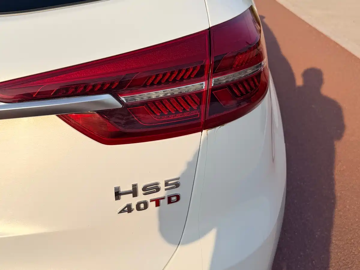 Hongqi HS5 2019 2.0T Intelligent Flagship 4WD Version фото 29