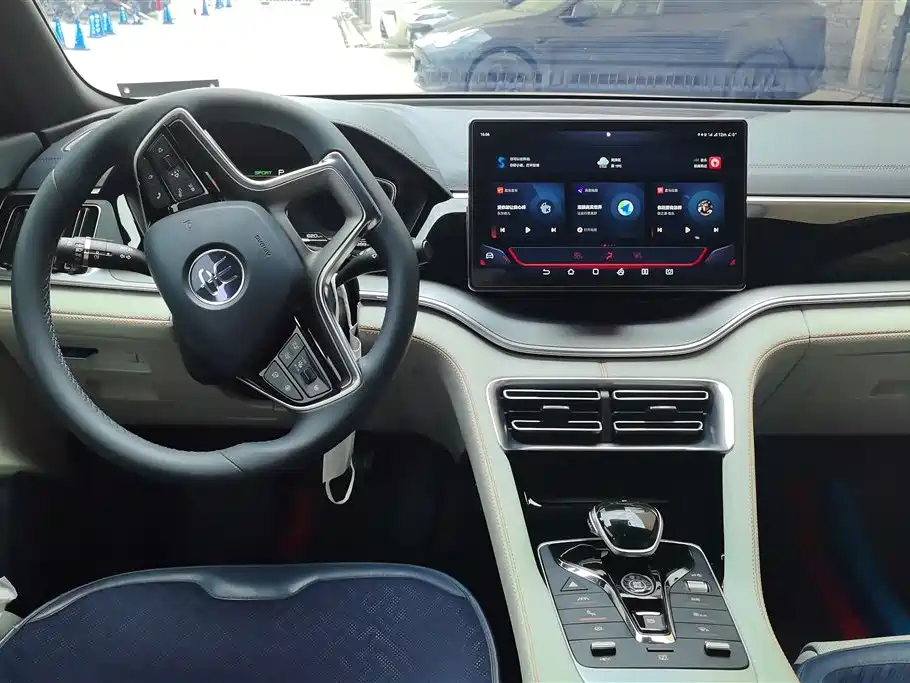 BYD Song PLUS PHEV 2021 DM-i 51KM Honor фото 12