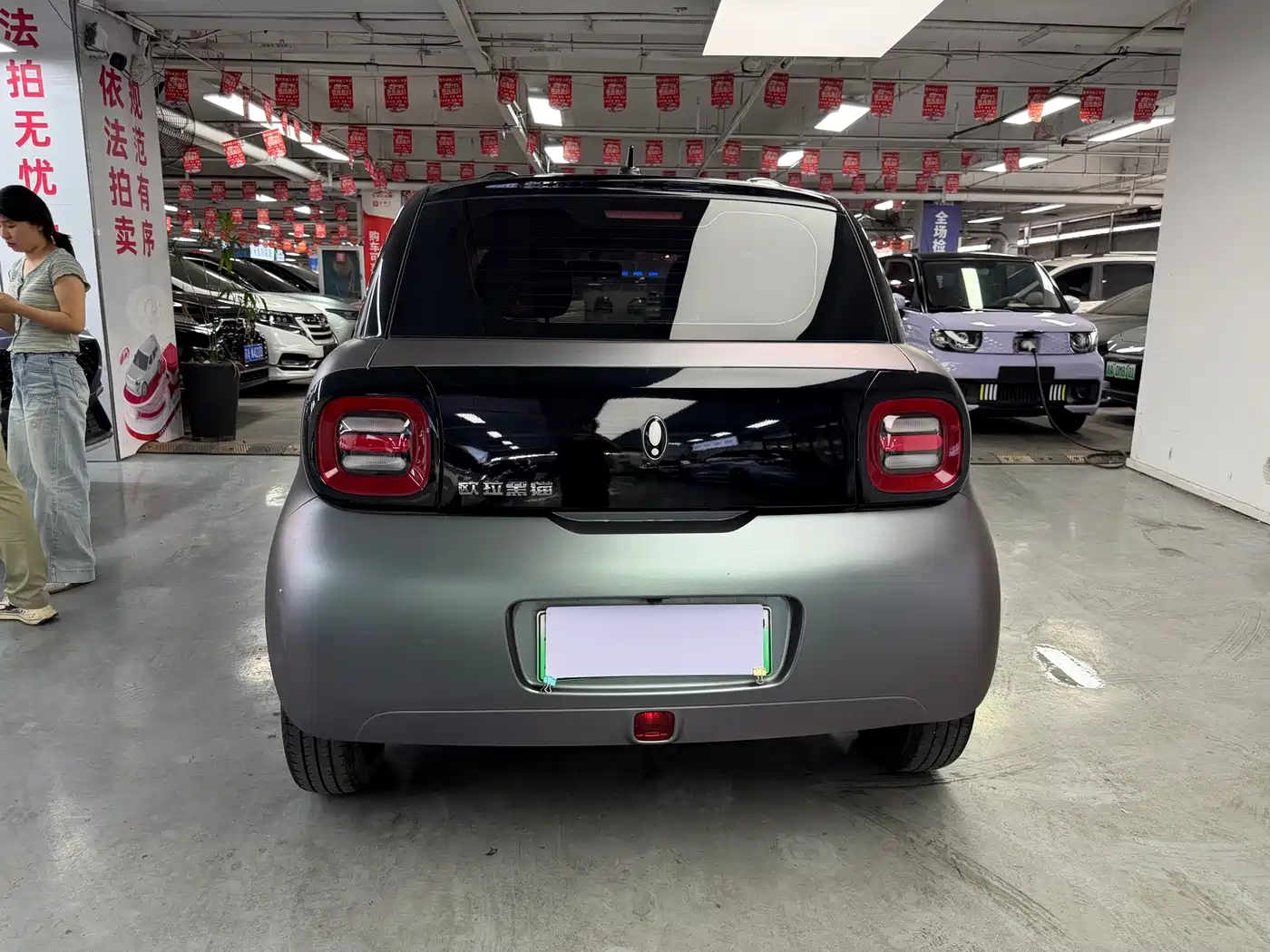 Ora Black Cat 2022 2022 Facelift 301km Pet Edition LFP Version