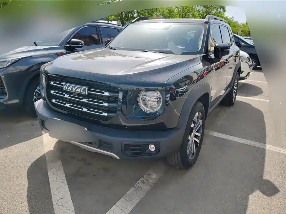 Haval Big Dog 2022 1.5T DCT FWD Border Collie Edition