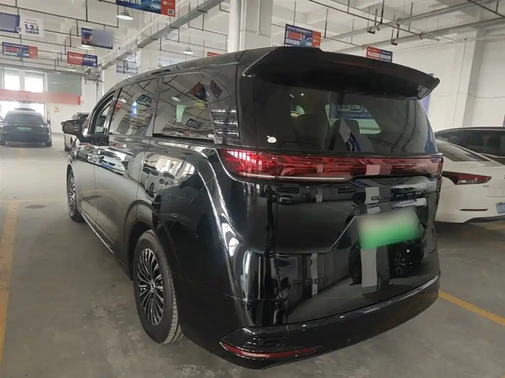 Denza D9 2024 DM-i 980 AWD Prestige фото 5