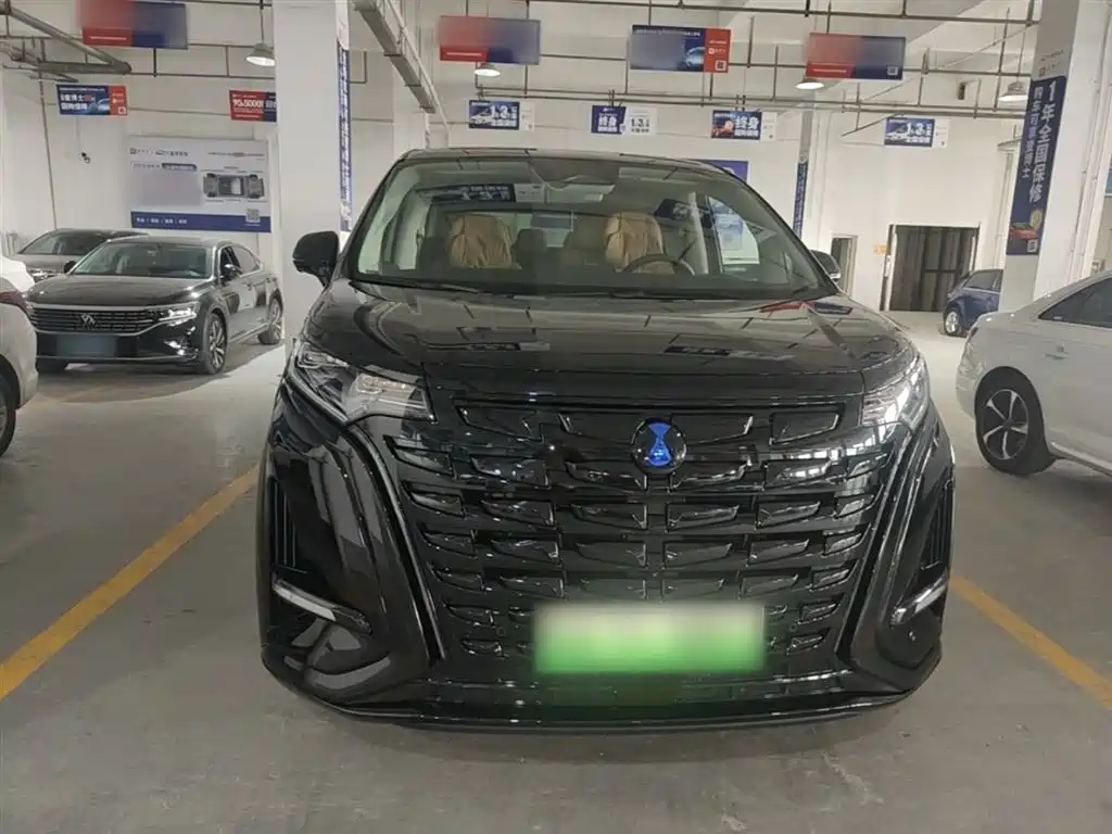 Denza D9 2024 DM-i 980 AWD Prestige фото 3