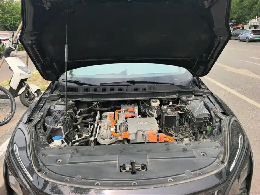 Hongqi E-QM5 2023 620km PLUS фото 10