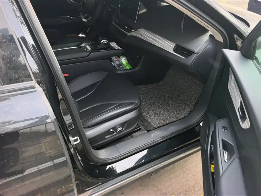 Hongqi E-QM5 2023 620km PLUS фото 8