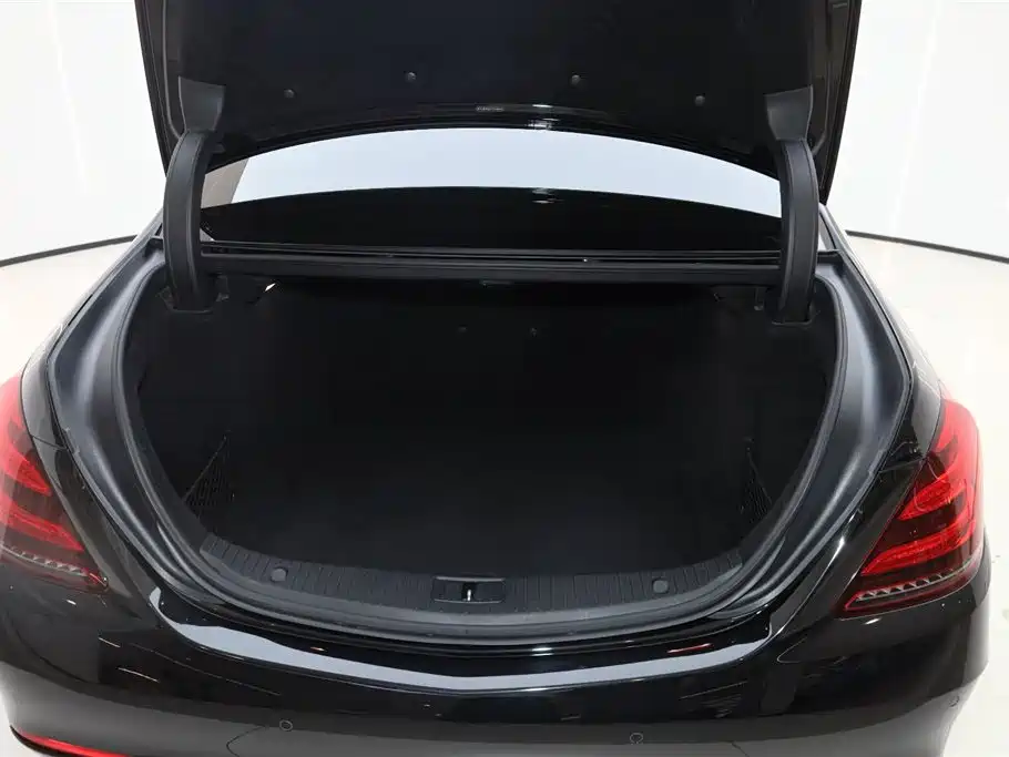 Mercedes-Benz S-Class 2020 S 350 L Business Edition Collector's Version фото 10