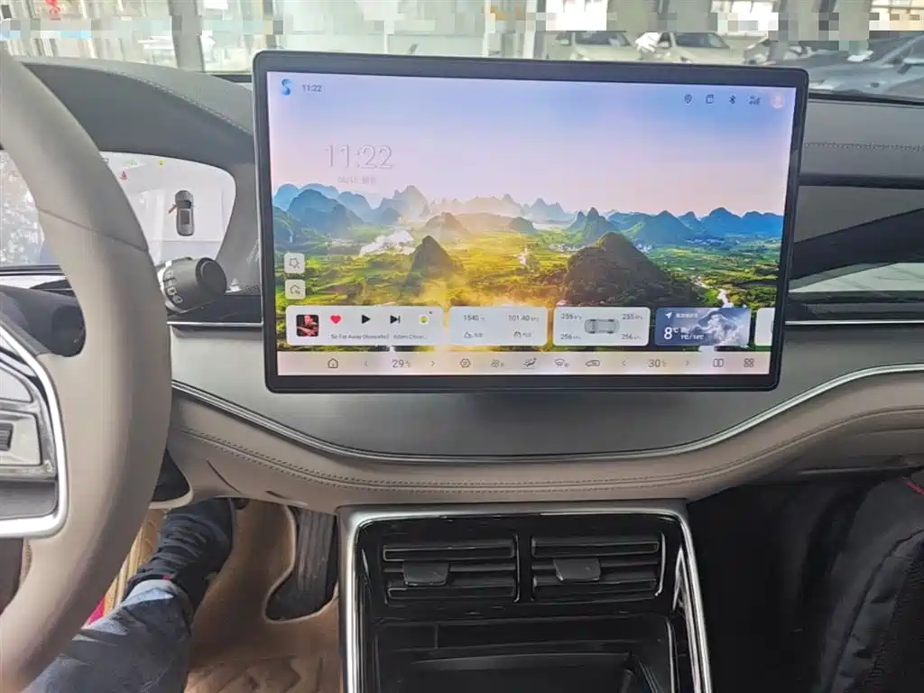 BYD Tang New Energy 2025 DM-i 115KM Premium фото 13