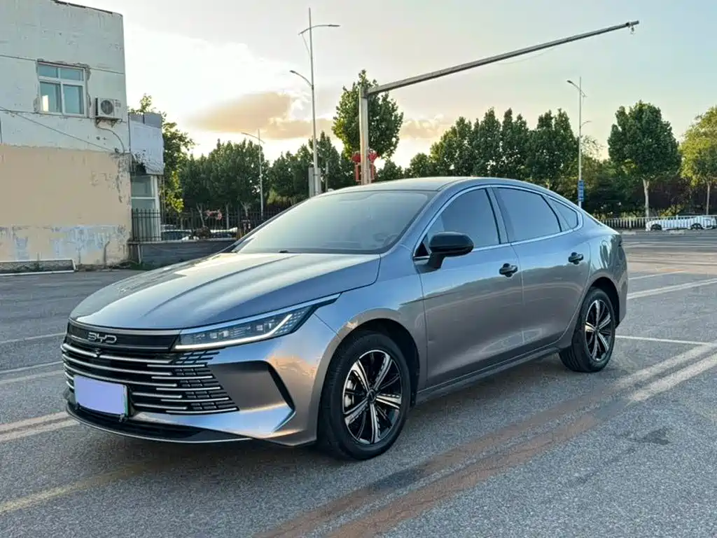 Фото 2 - BYD Destroyer 05
