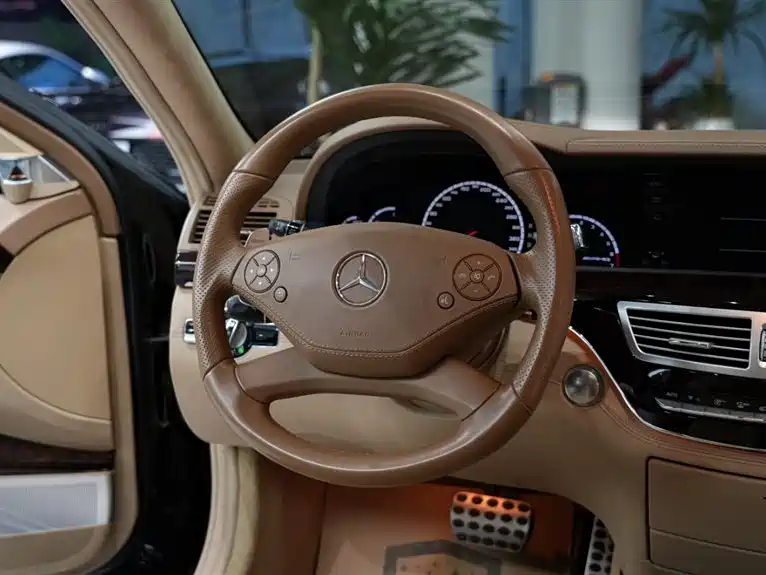 Mercedes-Benz S-Class AMG 2010 AMG S 65 фото 13