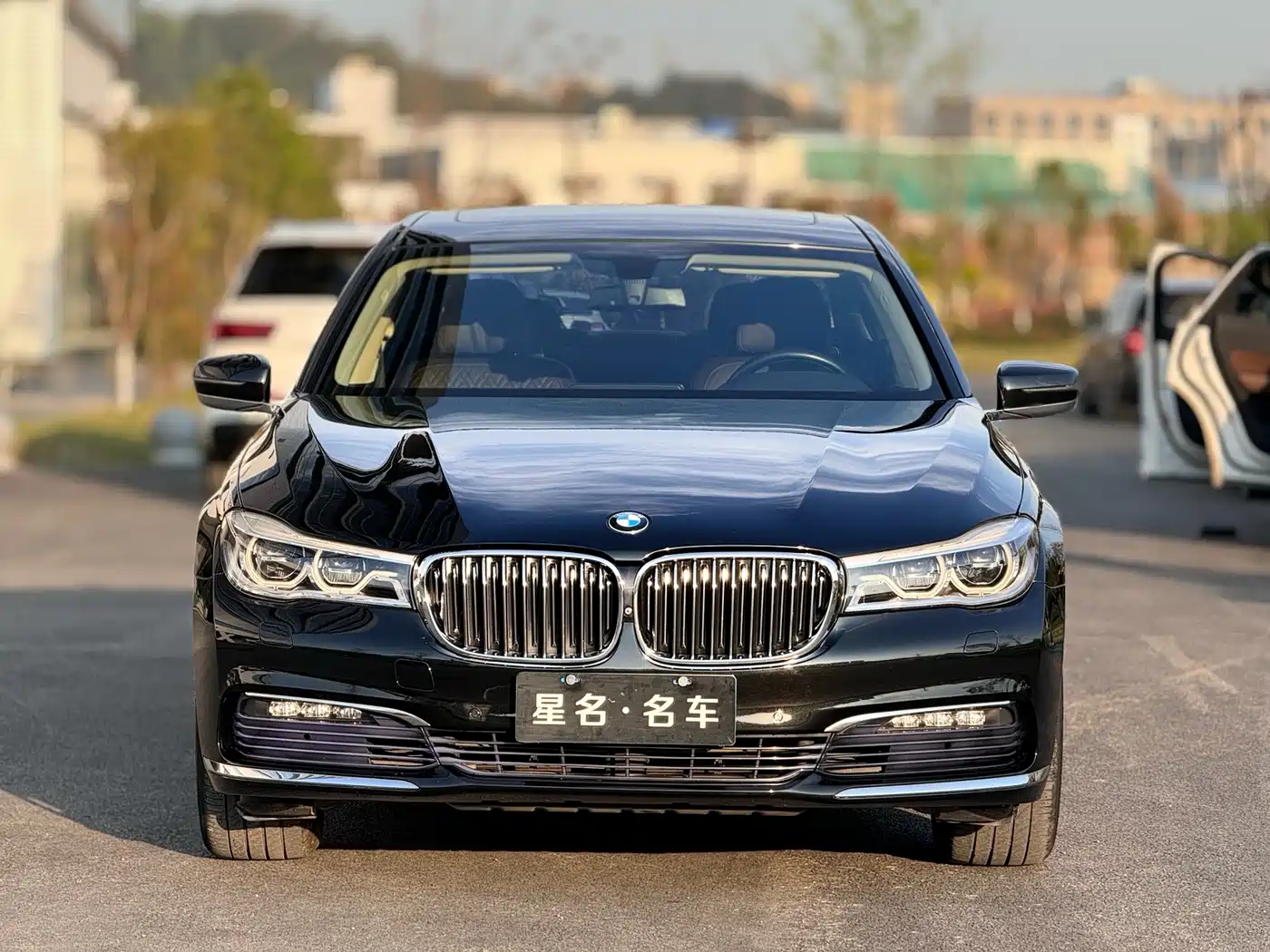 BMW 7 Series 2017 730Li Luxury Edition фото 12