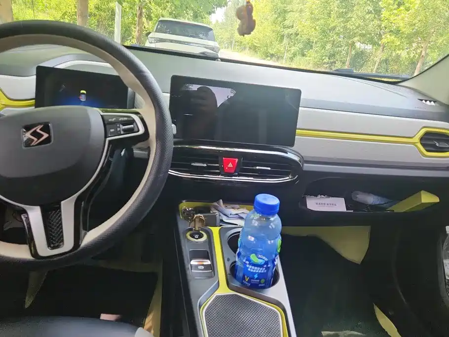 Sehol Flower Fairy 2021 2021 302km Luxury Edition 31.4kWh