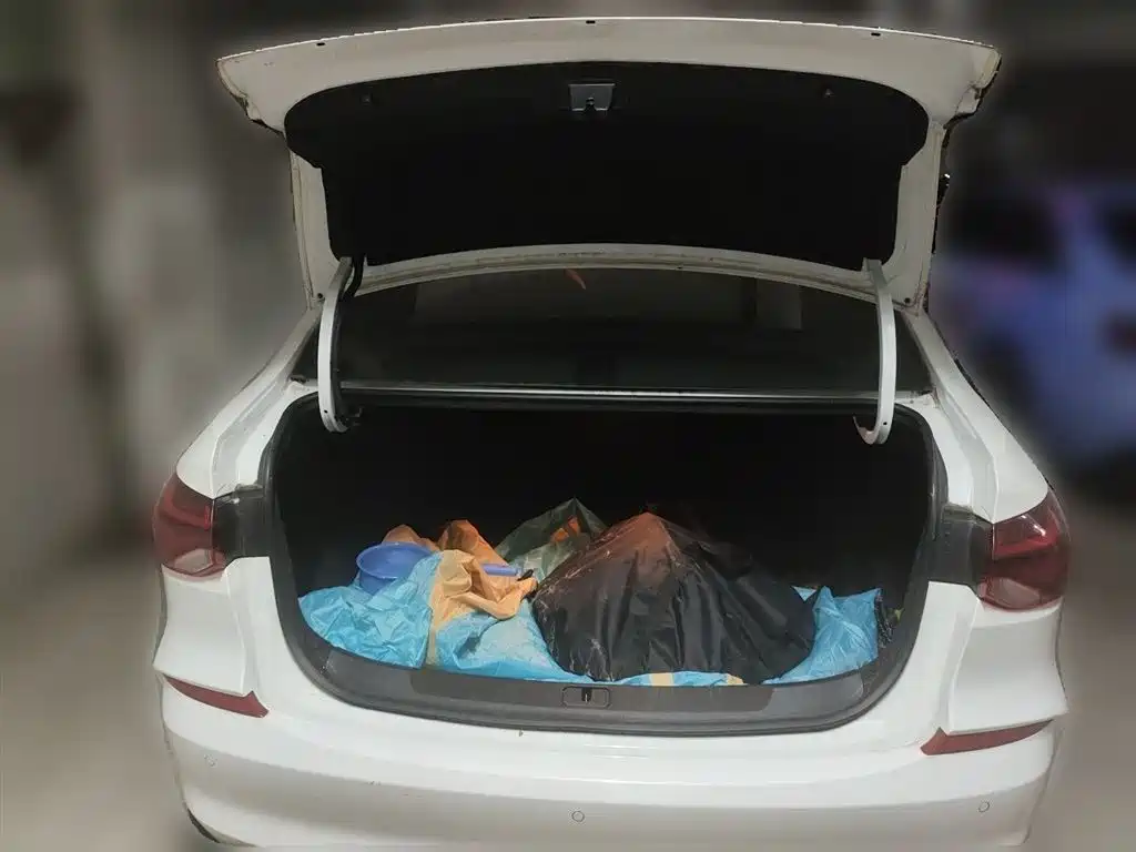Chevrolet Monza 2023 1.5L Dual-Clutch Enjoyment Edition фото 16