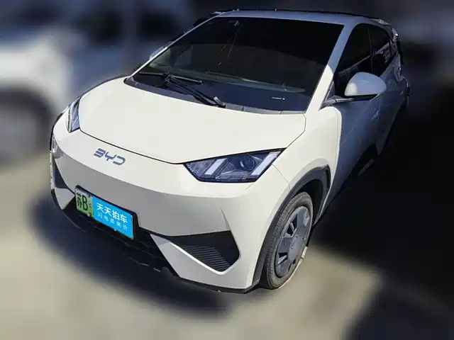 BYD Seagull 2025