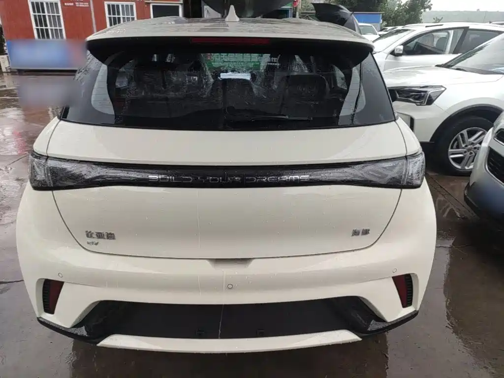 BYD Dolphin 2026 2025 420km Freedom Edition