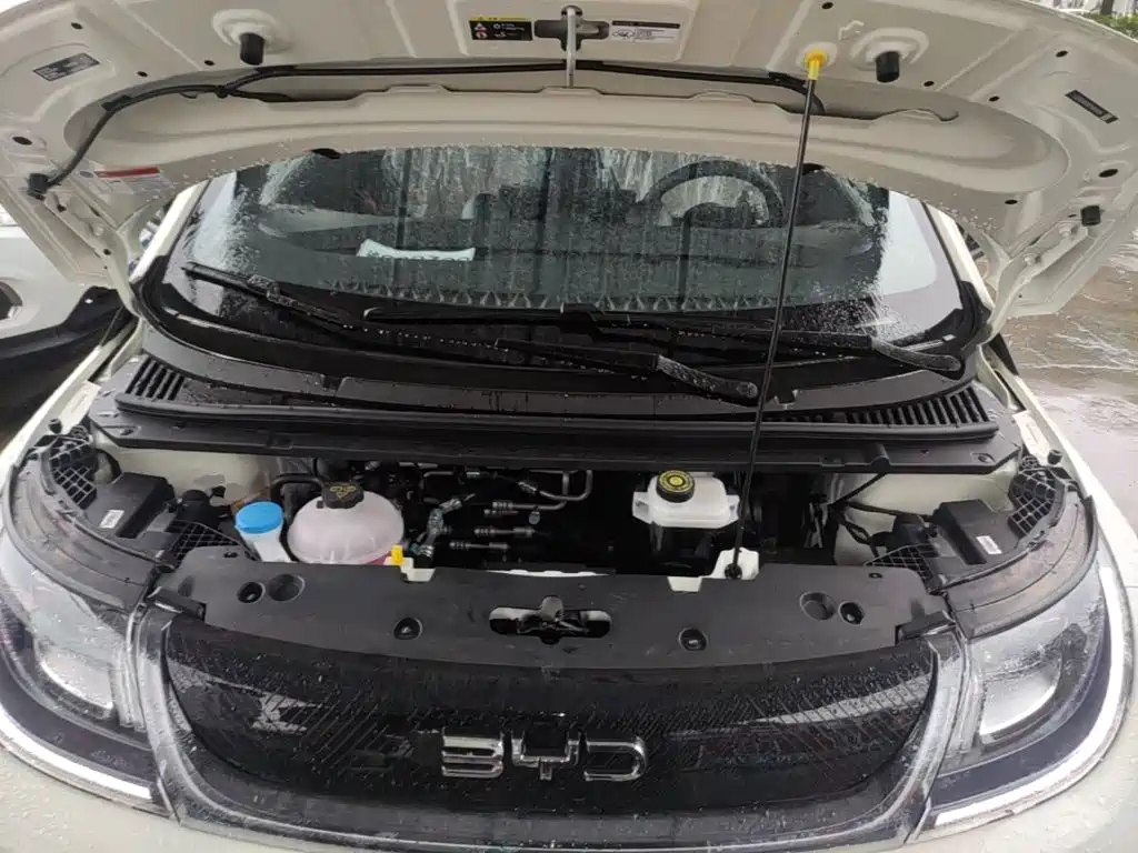 BYD Dolphin 2026 2025 420km Freedom Edition