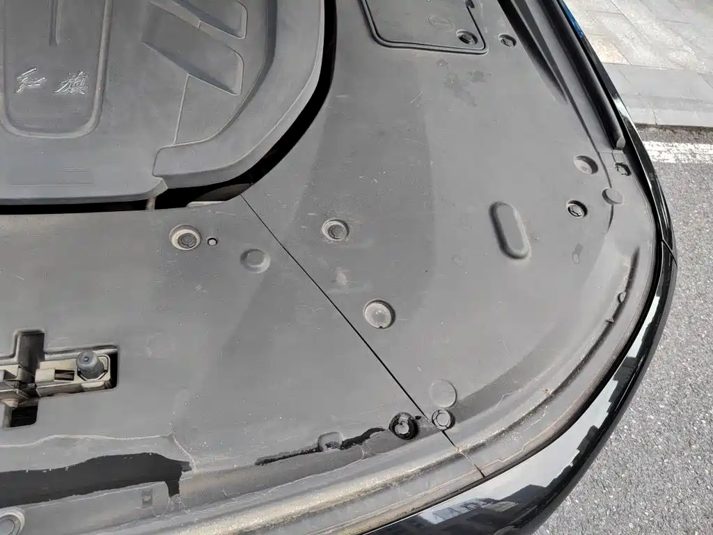 Hongqi H9 2020 2020 3.0T Smart Connection Qi Chang Edition