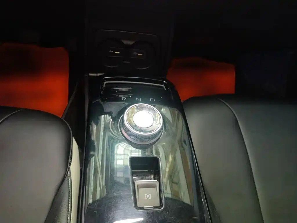 Geely Geometry E Firefly 2023 2022 401KM Delicate Tiger 4-seater