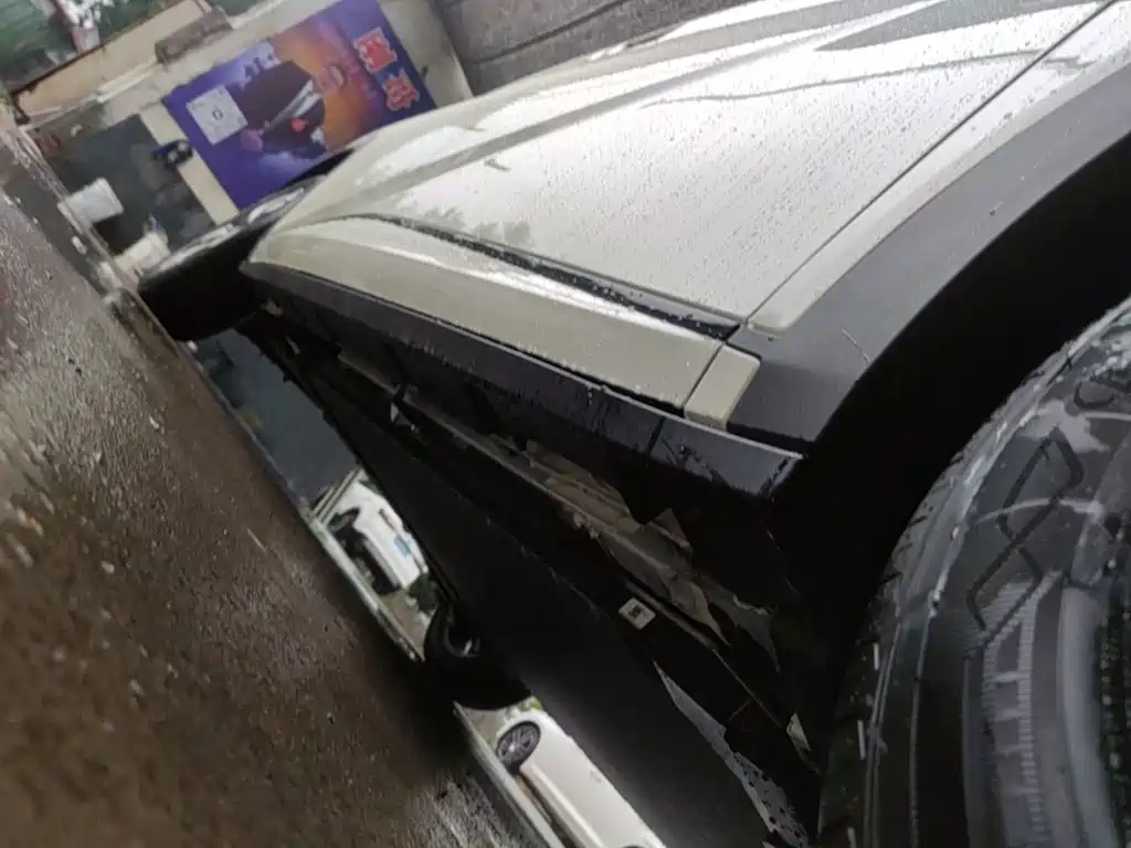 BYD Dolphin 2026 2025 420km Freedom Edition