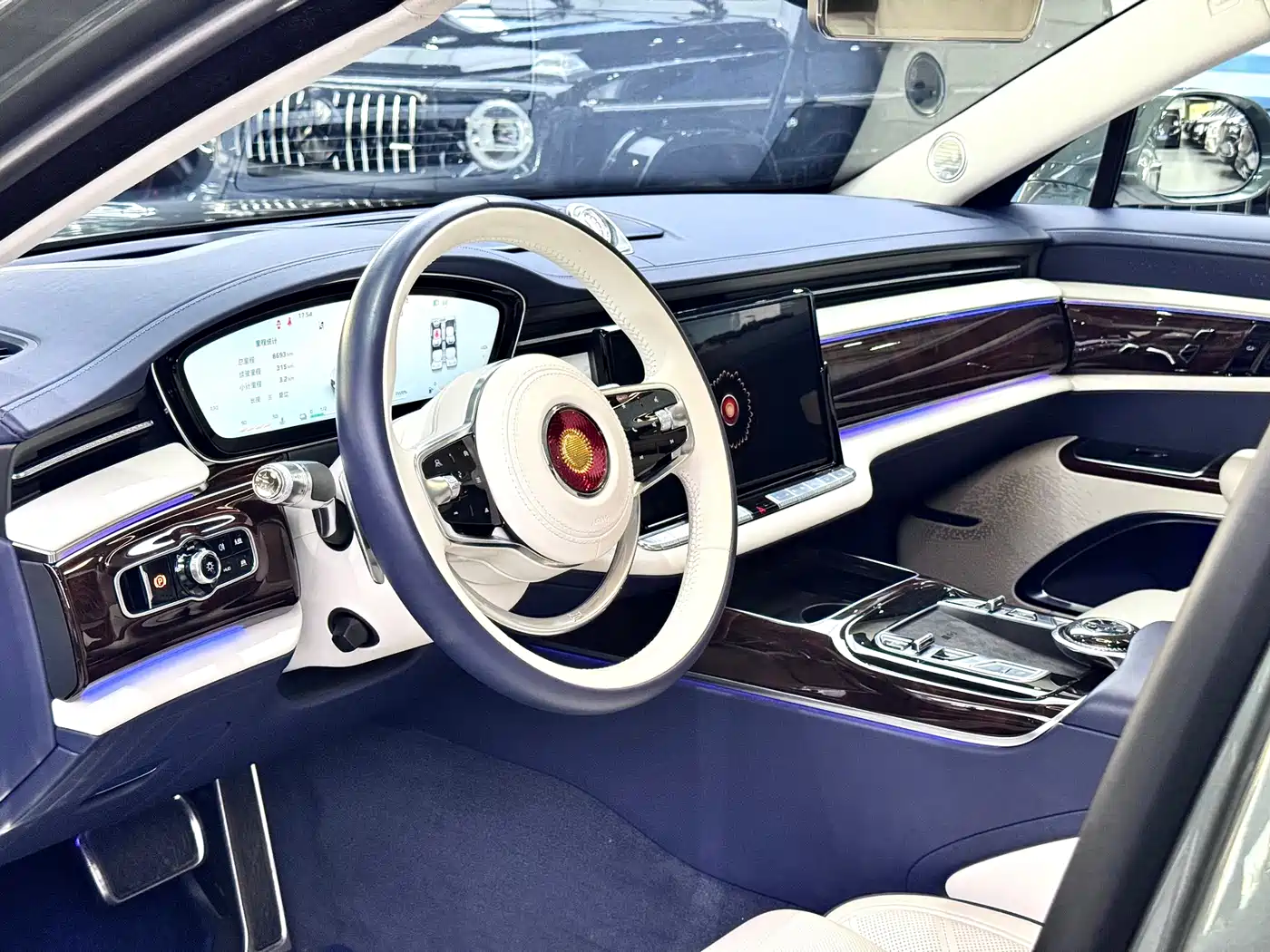 Hongqi Guoya 2024 4.0T V8 Version фото 13
