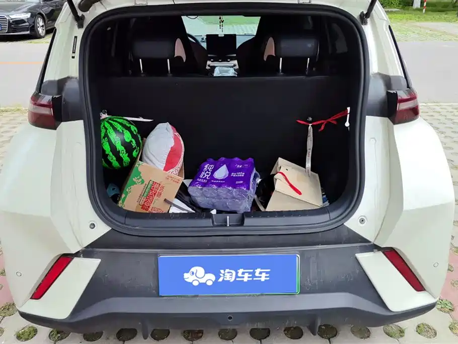 BYD Seagull 2023 Vitality Edition фото 4