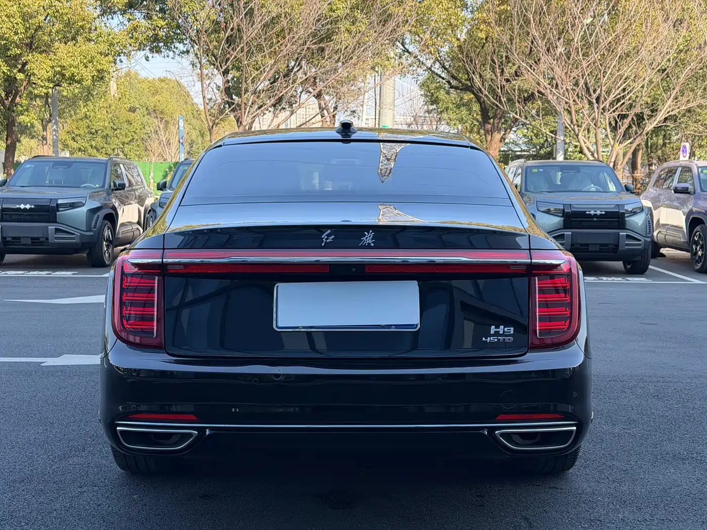 Hongqi H9 2020 2.0T Smart Connection Qi Xiang Edition фото 16
