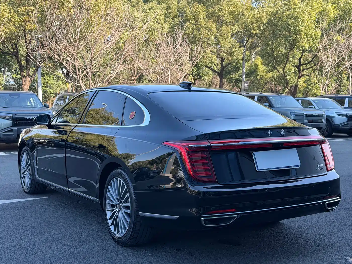 Hongqi H9 2020 2.0T Smart Connection Qi Xiang Edition фото 18