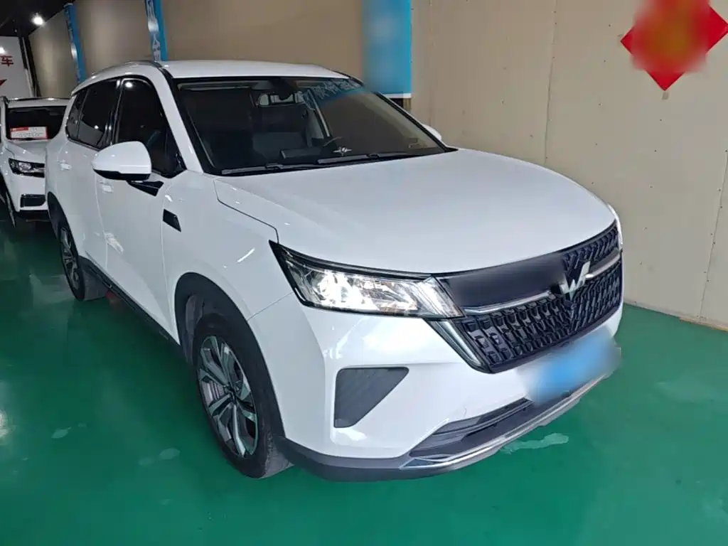 Wuling Motors Wuling Xingchen 2024 2022 2.0L DHT Electric Power Edition
