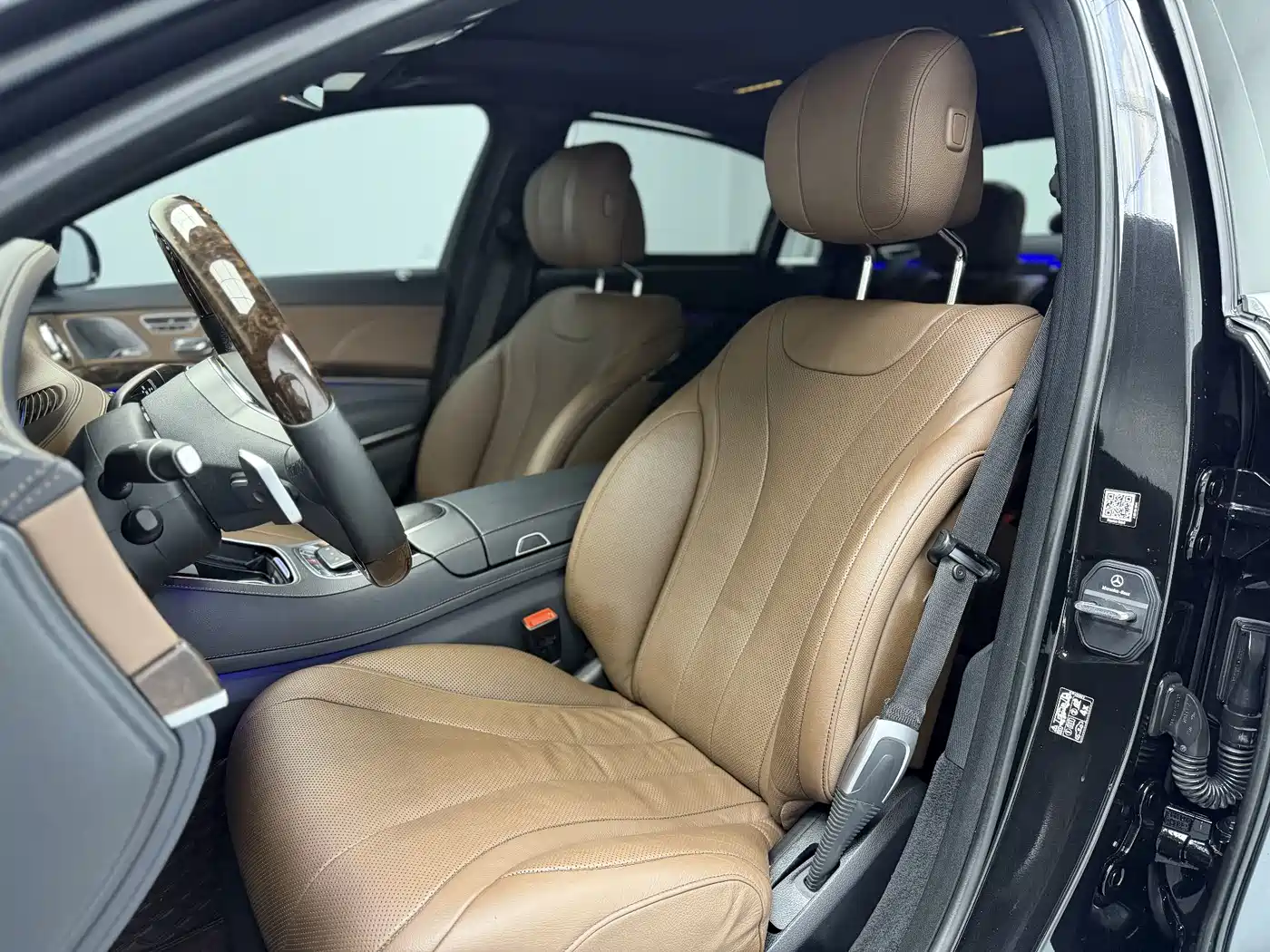Mercedes-Benz S-Class 2020 S 350 L Premium Edition Collector's Version фото 4
