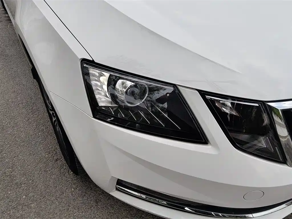 Škoda Octavia 2018 TSI230 DSG Luxury Edition фото 16