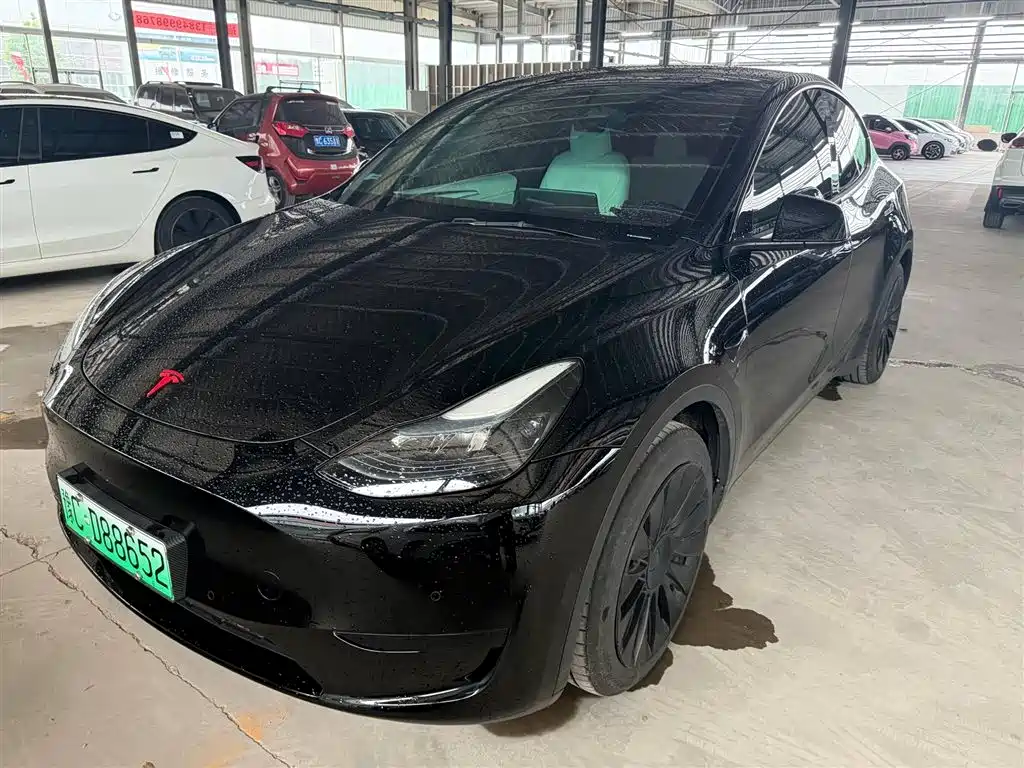 Tesla Model Y 2022 Rear-Wheel Drive Version