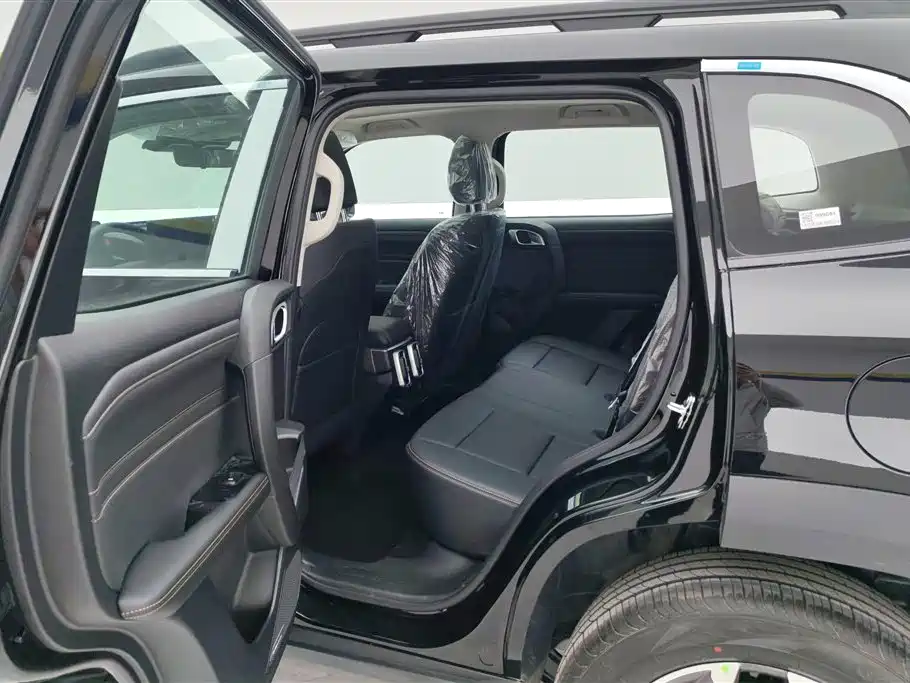 HAVAL BIG DOG