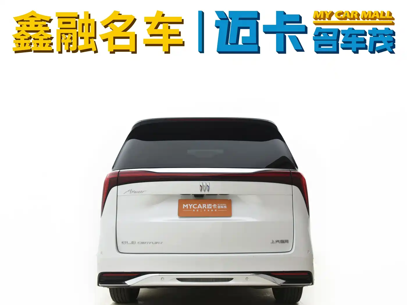 Buick Century 2023 2.0T 6-Seat World Edition фото 2
