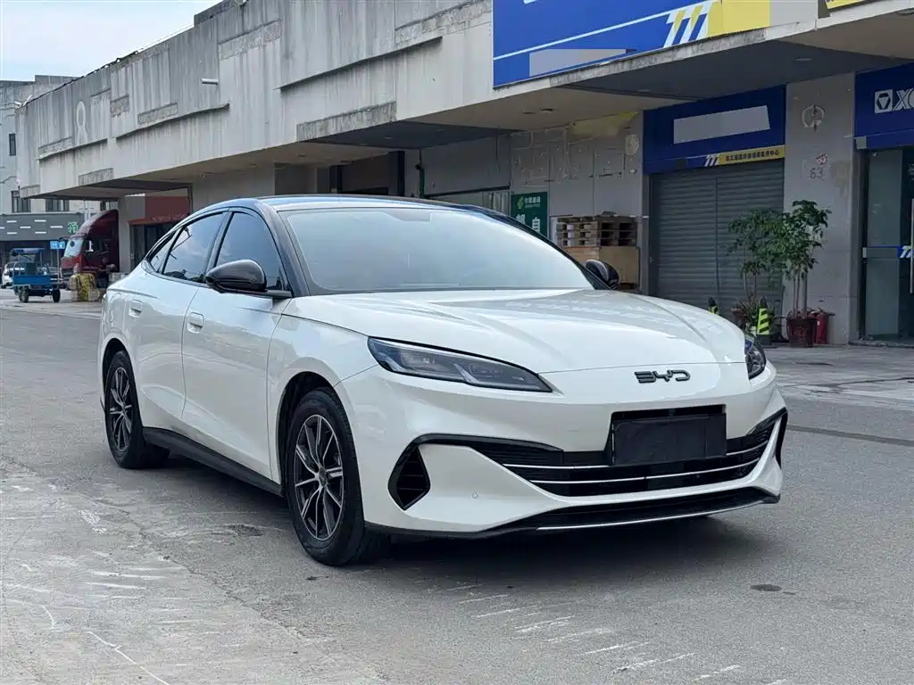 BYD Seal 06 New Energy 2024 DM-i 80KM Prestige фото 3