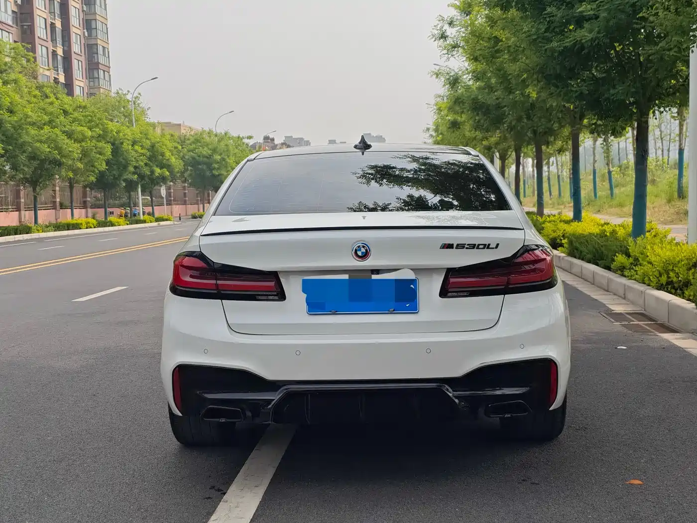 BMW 5 Series 2019 530Li Leading M Sport Package фото 28