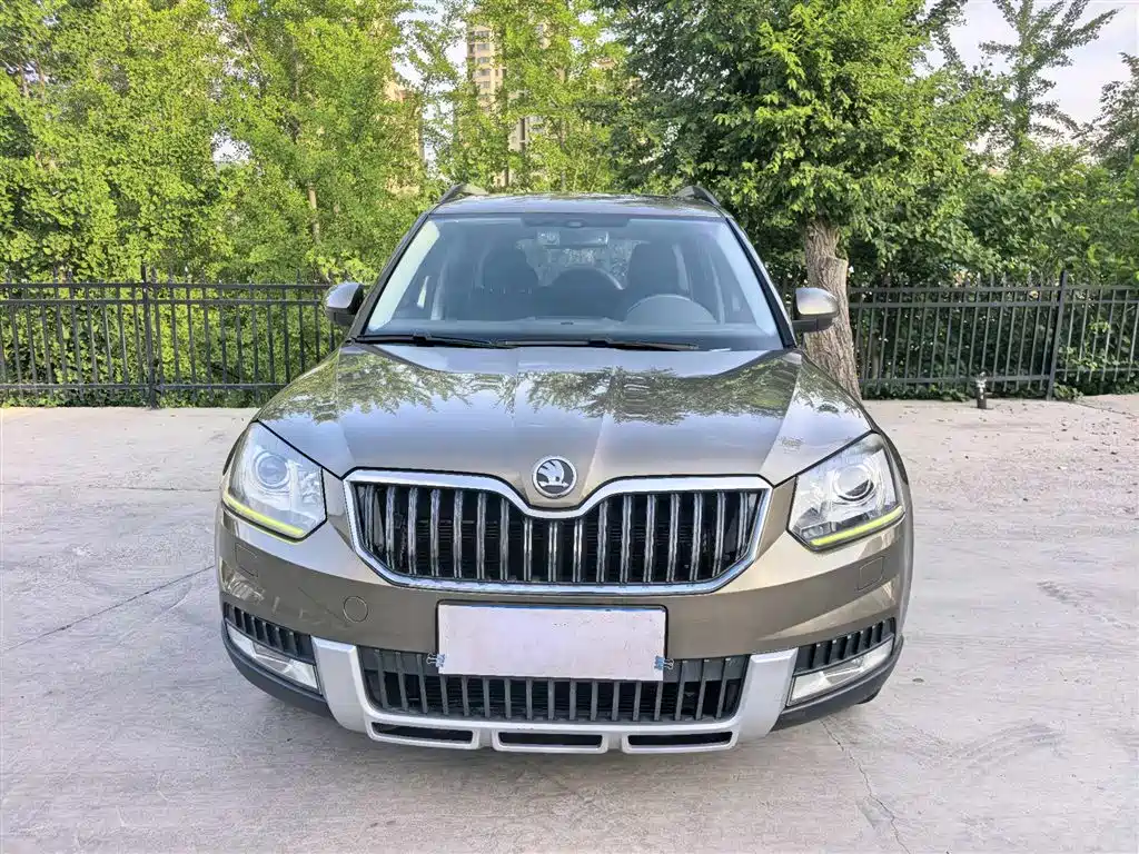 Škoda Yeti 2014 1.4TSI DSG Wild фото 2