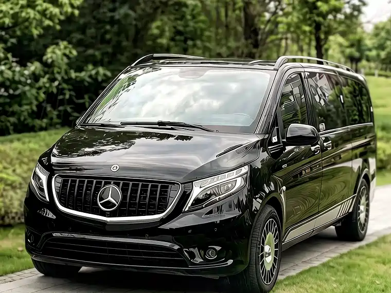 Mercedes-Benz Vito 2018 2.0T Business Edition China VI