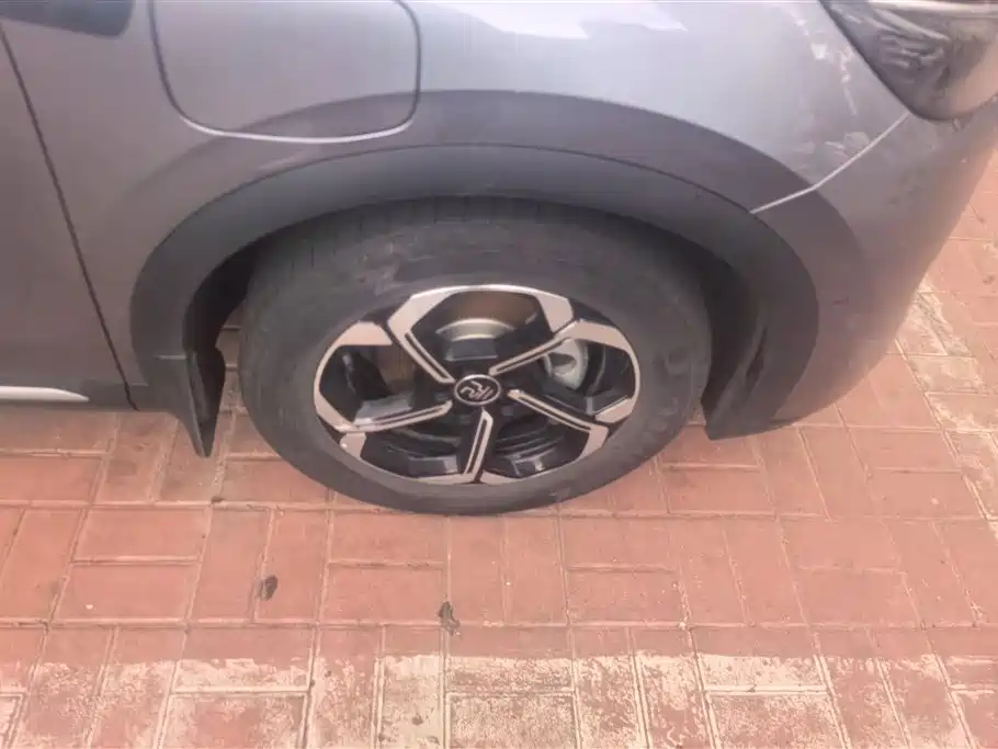 BYD Yuan PLUS 2025 Smart Drive Edition 430KM Leading фото 6