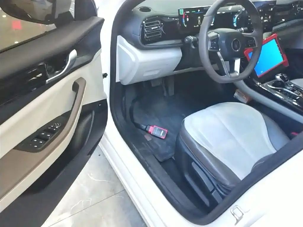 BYD Qin PLUS 2024 Glory Edition DM-i 55KM Leading фото 16