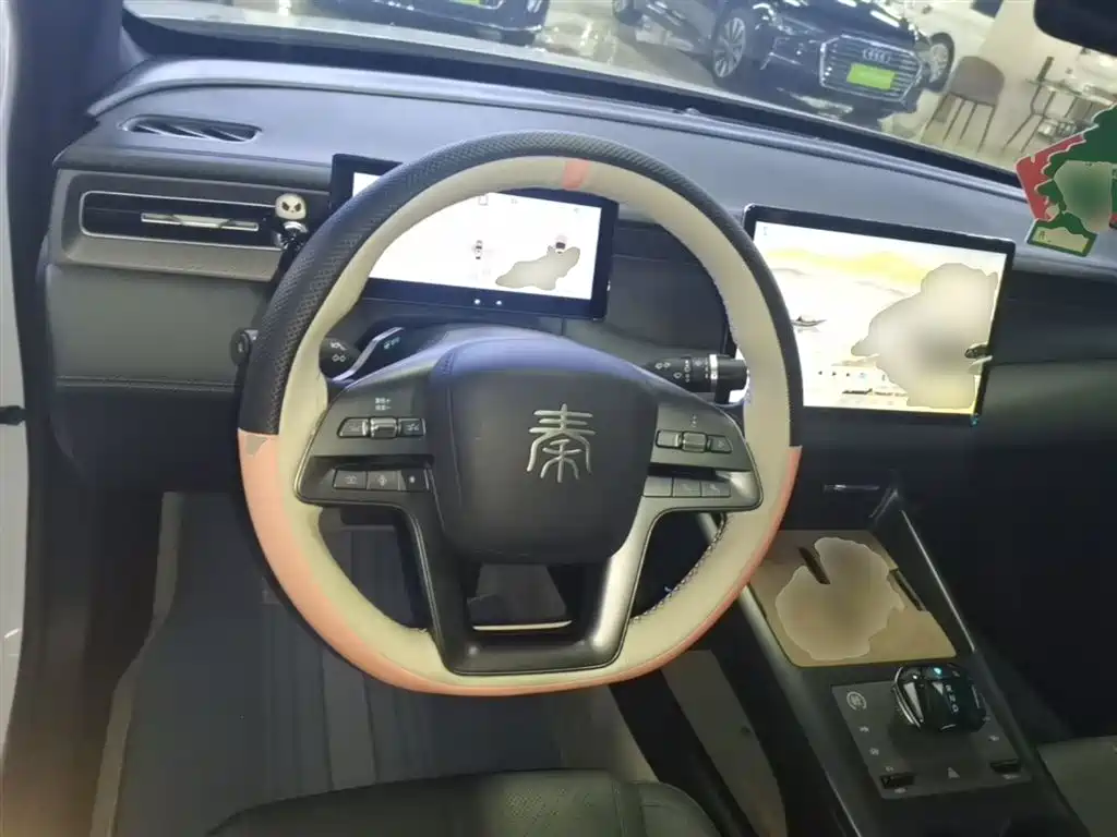 BYD Qin PLUS 2025 DM-i Smart Drive Edition 55KM Surpassing Type фото 11