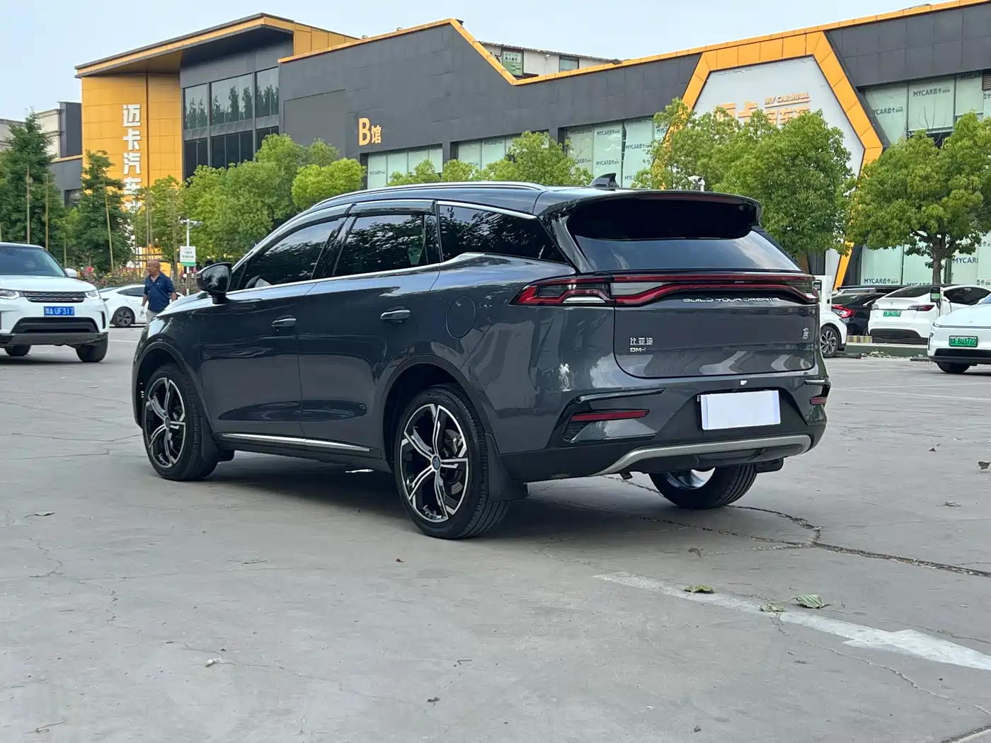 BYD Tang New Energy 2021 DM-i 112KM Premium фото 6