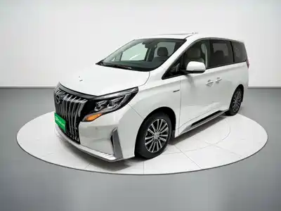 Trumpchi M8