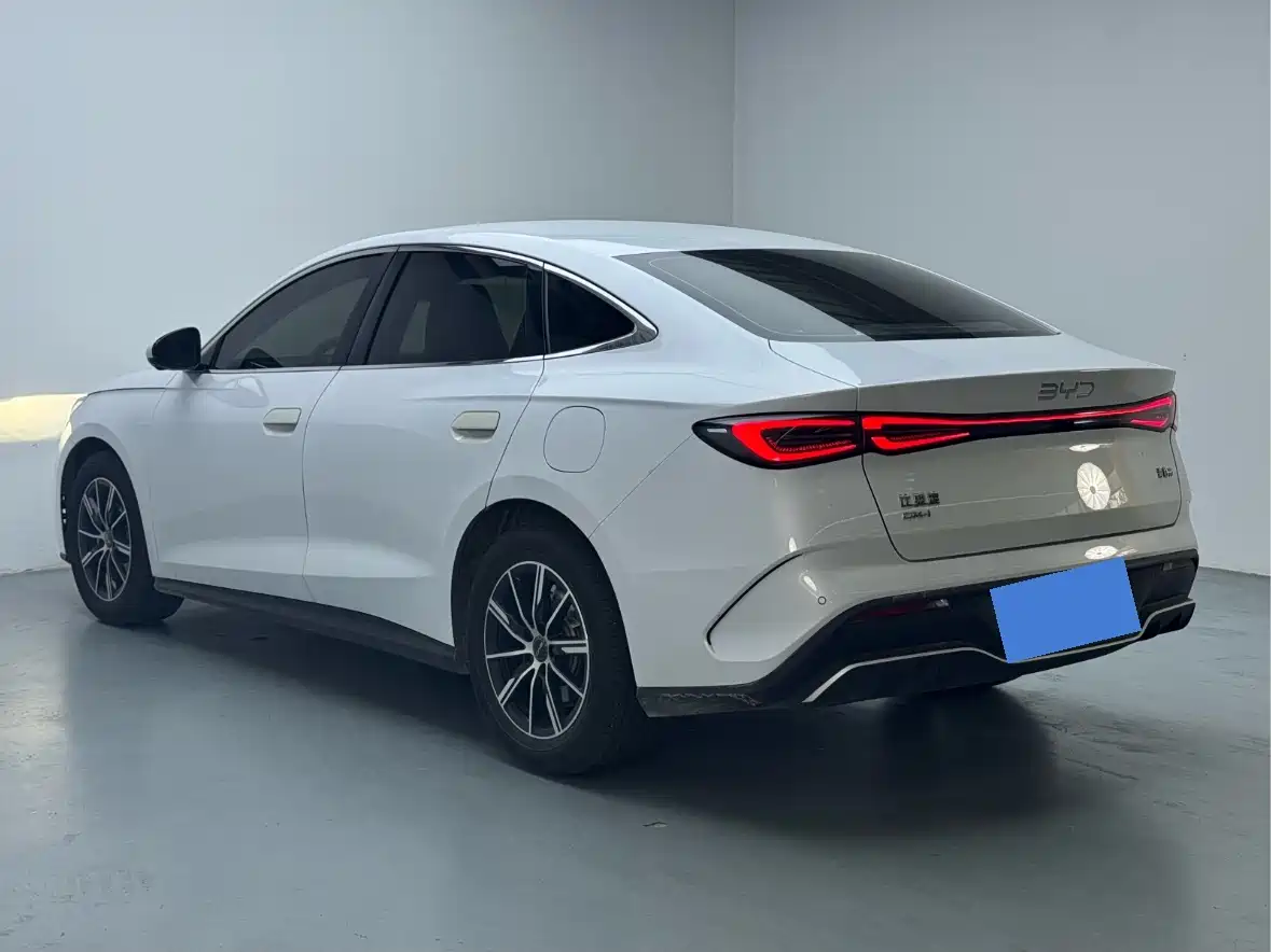 BYD Seal 06 New Energy 2024 DM-i 80KM Prestige фото 7