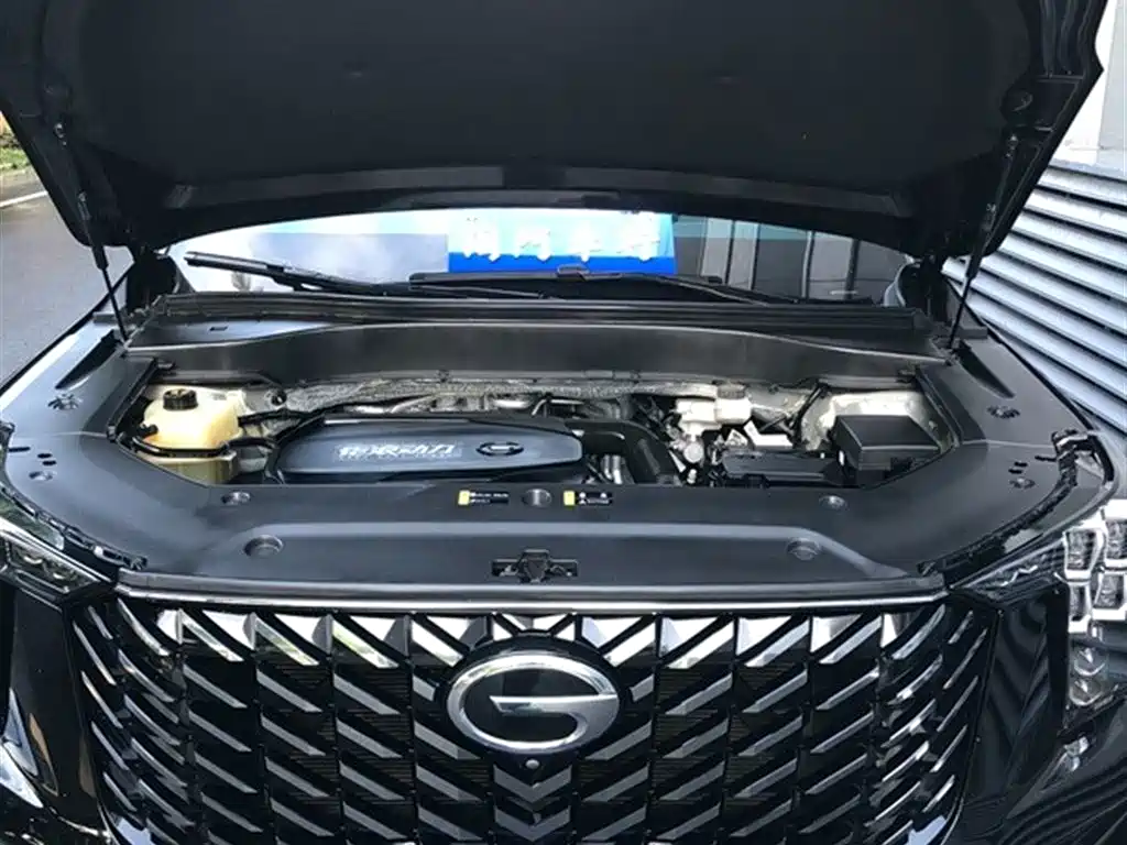 GAC Trumpchi Trumpchi GS8 2022 Pilot Series 2.0TGDI 2WD Luxury Smart Connect Edition (7-Seater) фото 4