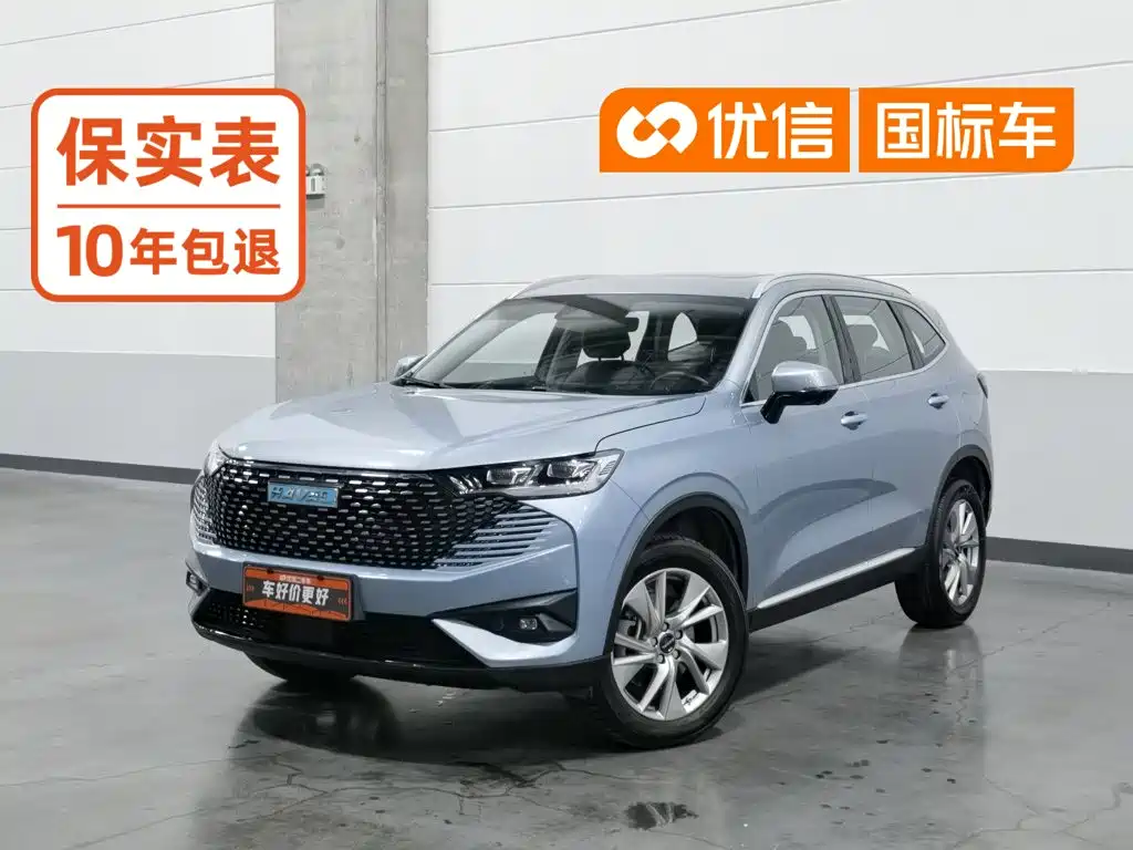 Haval H6 New Energy 2023 2023 DHT-PHEV 110KM Smooth Edition